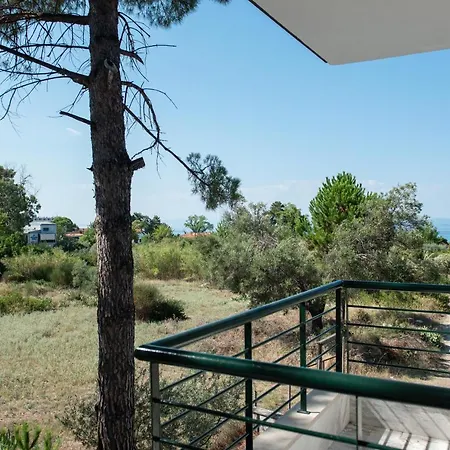 Brand New Maisonette In Chanioti, Chalkidiki Extérieur photo